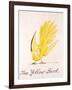 Yellow Bird-Edward Lear-Framed Giclee Print