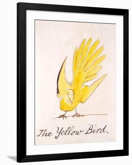 Yellow Bird-Edward Lear-Framed Giclee Print