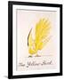 Yellow Bird-Edward Lear-Framed Giclee Print