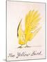 Yellow Bird-Edward Lear-Mounted Giclee Print