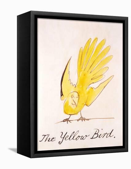 Yellow Bird-Edward Lear-Framed Stretched Canvas