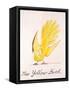 Yellow Bird-Edward Lear-Framed Stretched Canvas