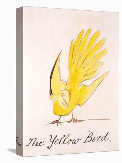 Yellow Bird-Edward Lear-Stretched Canvas