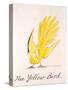 Yellow Bird-Edward Lear-Stretched Canvas