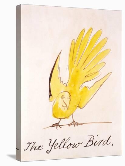 Yellow Bird-Edward Lear-Stretched Canvas