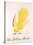 Yellow Bird-Edward Lear-Stretched Canvas