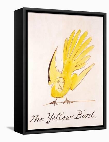 Yellow Bird-Edward Lear-Framed Stretched Canvas