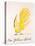 Yellow Bird-Edward Lear-Stretched Canvas