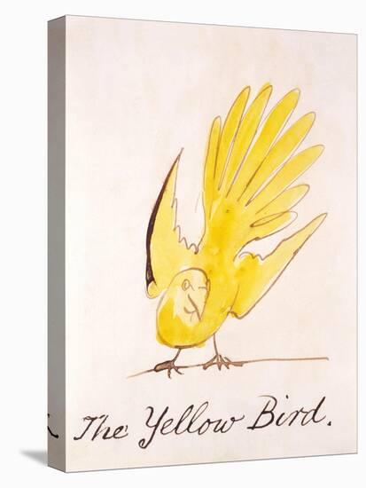Yellow Bird-Edward Lear-Stretched Canvas