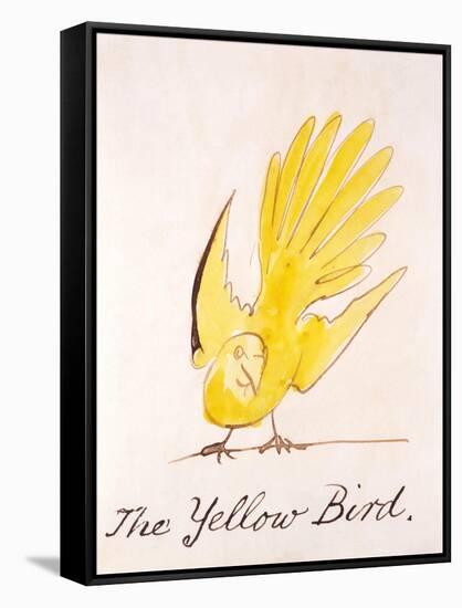Yellow Bird-Edward Lear-Framed Stretched Canvas