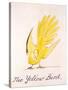 Yellow Bird-Edward Lear-Stretched Canvas