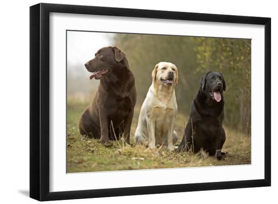 Premium Photographic Print, , large