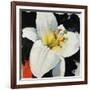 Yellow Bliss-Sydney Edmunds-Framed Giclee Print