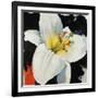 Yellow Bliss-Sydney Edmunds-Framed Giclee Print