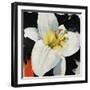 Yellow Bliss-Sydney Edmunds-Framed Giclee Print