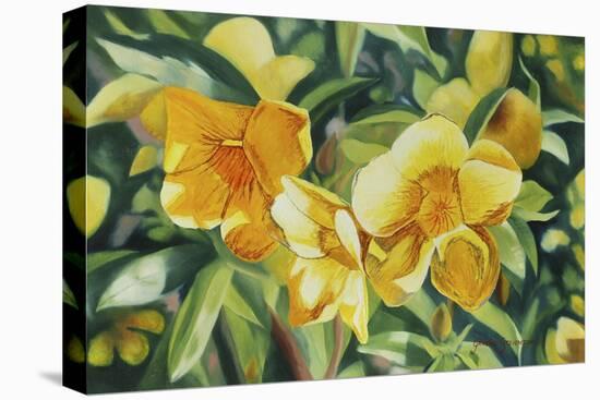 Yellow Bloom-Graeme Stevenson-Stretched Canvas