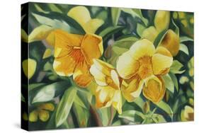 Yellow Bloom-Graeme Stevenson-Stretched Canvas