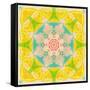 Yellow Blossom Mandala-Alaya Gadeh-Framed Stretched Canvas