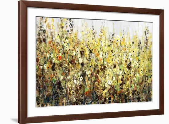 Yellow Blossoms-Tim O'toole-Framed Giclee Print