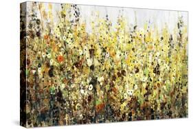 Yellow Blossoms-Tim O'toole-Stretched Canvas