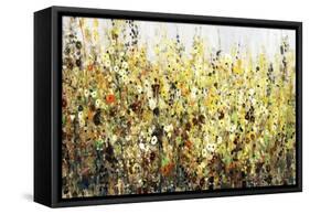 Yellow Blossoms-Tim O'toole-Framed Stretched Canvas