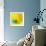 Yellow / Blue-Daniel Cacouault-Framed Giclee Print displayed on a wall