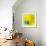 Yellow / Blue-Daniel Cacouault-Framed Giclee Print displayed on a wall