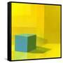Yellow / Blue-Daniel Cacouault-Framed Stretched Canvas
