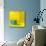 Yellow / Blue-Daniel Cacouault-Mounted Giclee Print displayed on a wall