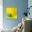 Yellow / Blue-Daniel Cacouault-Stretched Canvas displayed on a wall
