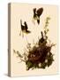 Yellow-Breasted Chat-John James Audubon-Stretched Canvas