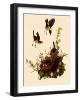 Yellow-Breasted Chat-John James Audubon-Framed Giclee Print