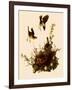 Yellow-Breasted Chat-John James Audubon-Framed Giclee Print