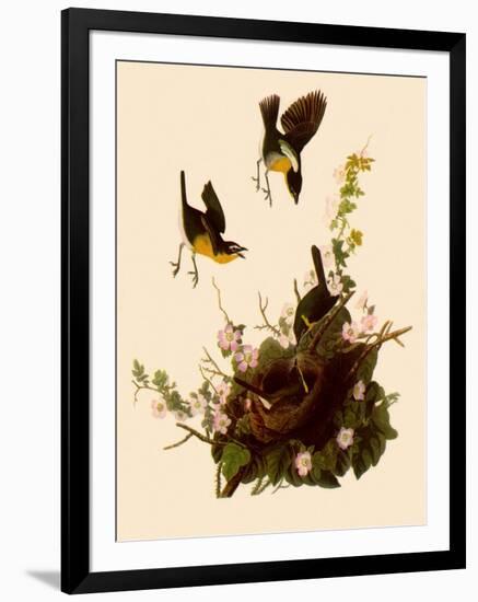 Yellow-Breasted Chat-John James Audubon-Framed Giclee Print