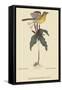 Yellow Breatsed Chat-Mark Catesby-Framed Stretched Canvas