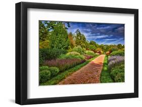 Yellow Brick Road-Robert Lott-Framed Art Print