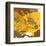 Yellow-Brown Fish-Irena Orlov-Framed Art Print