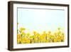 Yellow Buttercup Flowers on Light Background-Dr.Alex-Framed Photographic Print