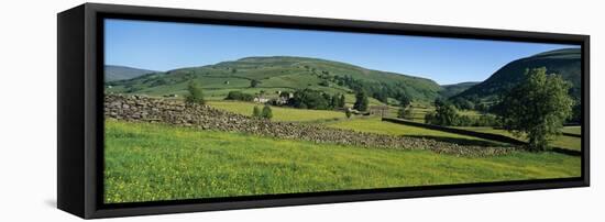 Yellow buttercup meadow with stone wall and typical landscape in Swaledale-Stuart Black-Framed Stretched Canvas