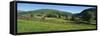 Yellow buttercup meadow with stone wall and typical landscape in Swaledale-Stuart Black-Framed Stretched Canvas