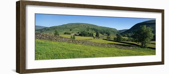 Yellow buttercup meadow with stone wall and typical landscape in Swaledale-Stuart Black-Framed Photographic Print
