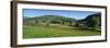 Yellow buttercup meadow with stone wall and typical landscape in Swaledale-Stuart Black-Framed Photographic Print