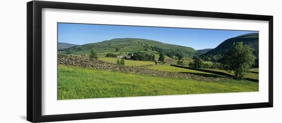 Yellow buttercup meadow with stone wall and typical landscape in Swaledale-Stuart Black-Framed Photographic Print