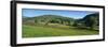 Yellow buttercup meadow with stone wall and typical landscape in Swaledale-Stuart Black-Framed Photographic Print