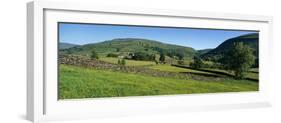 Yellow buttercup meadow with stone wall and typical landscape in Swaledale-Stuart Black-Framed Photographic Print