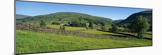 Yellow buttercup meadow with stone wall and typical landscape in Swaledale-Stuart Black-Mounted Photographic Print