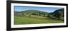 Yellow buttercup meadow with stone wall and typical landscape in Swaledale-Stuart Black-Framed Photographic Print