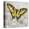 Yellow Butterfly-Alan Hopfensperger-Stretched Canvas