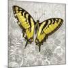 Yellow Butterfly-Alan Hopfensperger-Mounted Art Print