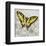 Yellow Butterfly-Alan Hopfensperger-Framed Art Print